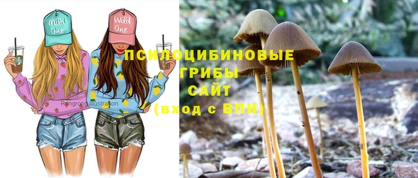 МДПВ Бугульма